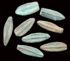 Olbia, Sarmatia, � Leaf Money